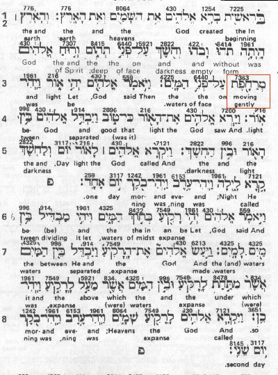 transliteration hebrew english genesis 2623 29